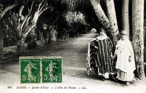 Alger - Jardin d'essai - Allee des Yucas